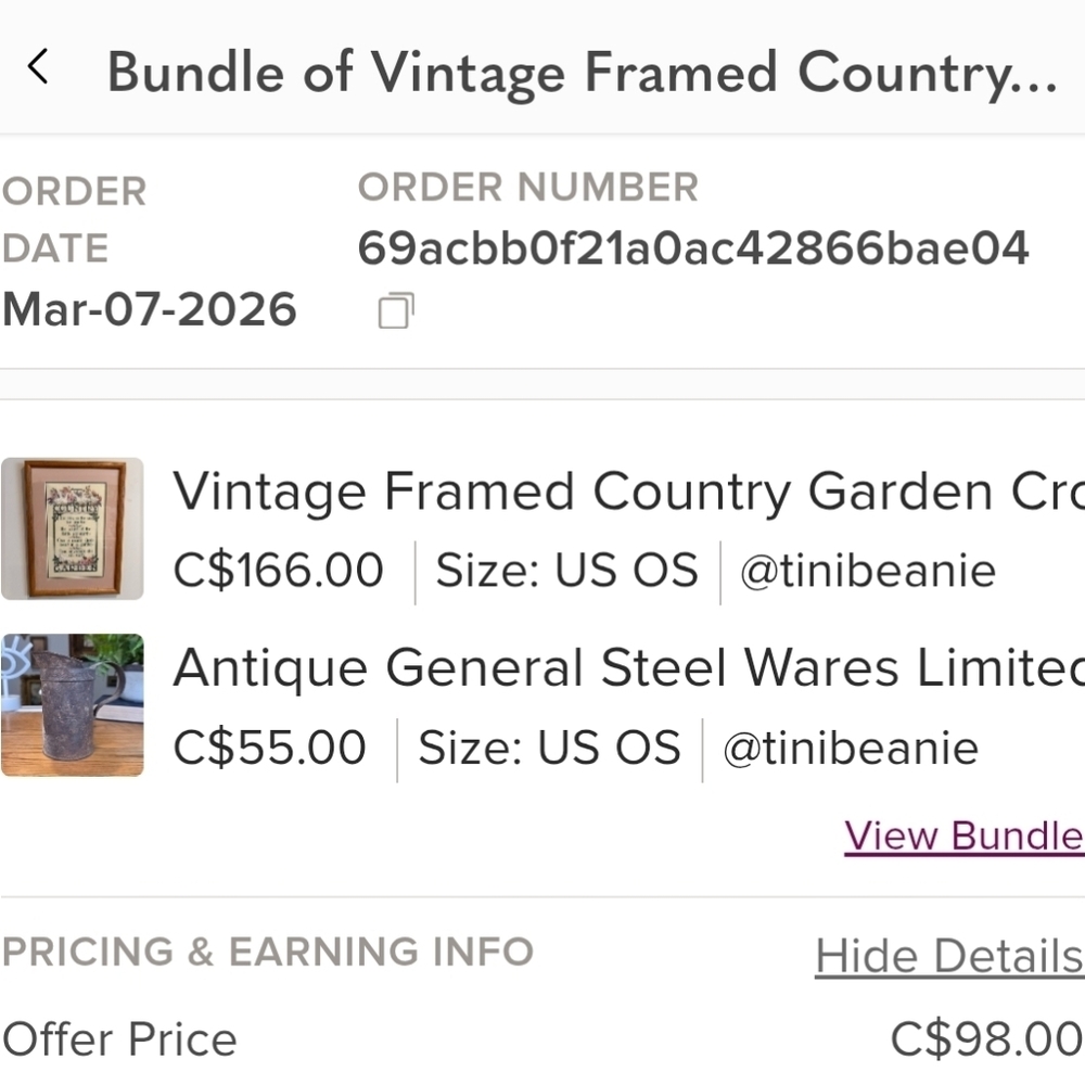 Bundle (2)Vintage Framed Country Garden Cross Stitch Art - Goose & Floral Motif